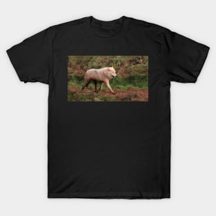 Never Trust a Smiling Wolf T-Shirt